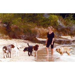 Lot de 6 cartes postales animaux avec BB