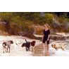 Lot de 6 cartes postales animaux avec BB