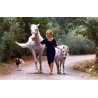 Lot de 6 cartes postales animaux avec BB